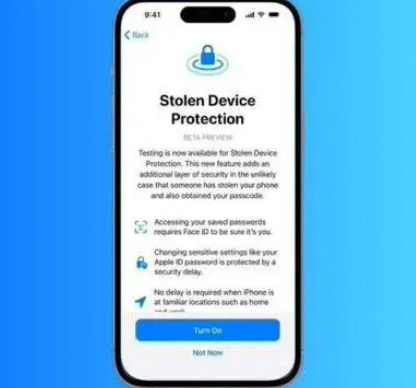 寻乌苹果授权维修店分享被盗设备保护功能开启方法 