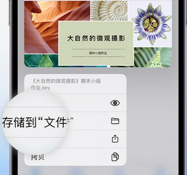 寻乌apple维修中心分享iPhone文件应用中存储和找到下载文件