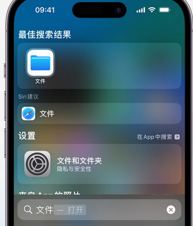 寻乌apple维修中心分享iPhone文件应用中存储和找到下载文件 