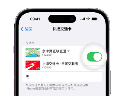 寻乌apple维修点分享iPhone上更换Apple Pay快捷交通卡手绘卡面 