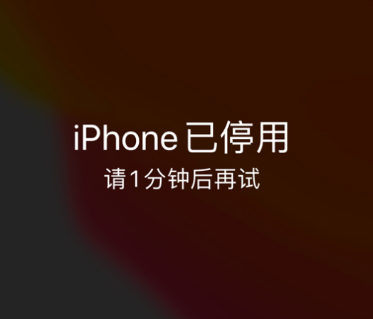 寻乌苹果手机维修分享:iPhone 显示“不可用”或“已停用”怎么办？还能保留数据吗？ 