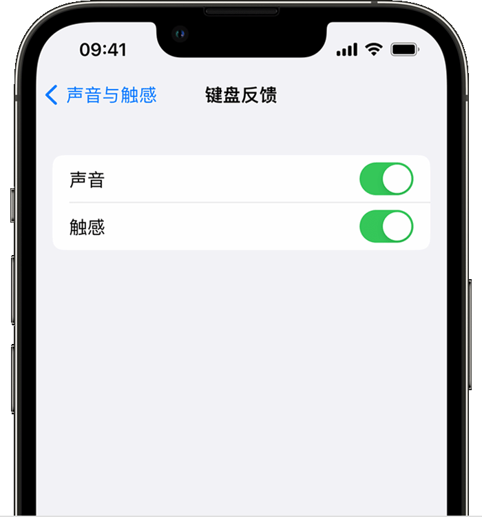 寻乌苹果14维修店分享如何在 iPhone 14 机型中使用触感键盘 