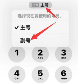 寻乌苹果14维修店分享iPhone 14 Pro Max使用副卡打电话的方法 