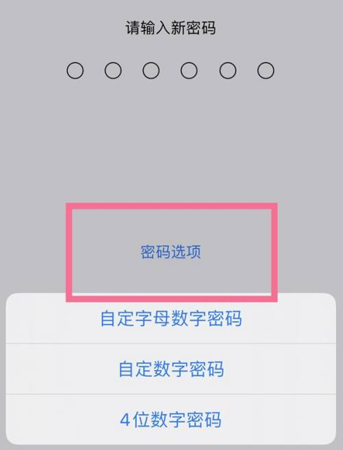 寻乌苹果14维修分享iPhone 14plus设置密码的方法 