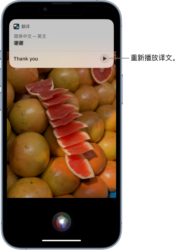 寻乌苹果14维修分享 iPhone 14 机型中使用 Siri：了解 Siri 能帮你做什么 