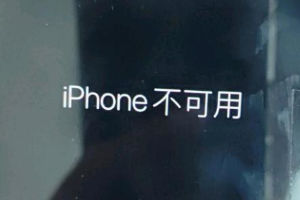 寻乌苹果服务网点分享锁屏界面显示“iPhone 不可用”如何解决 