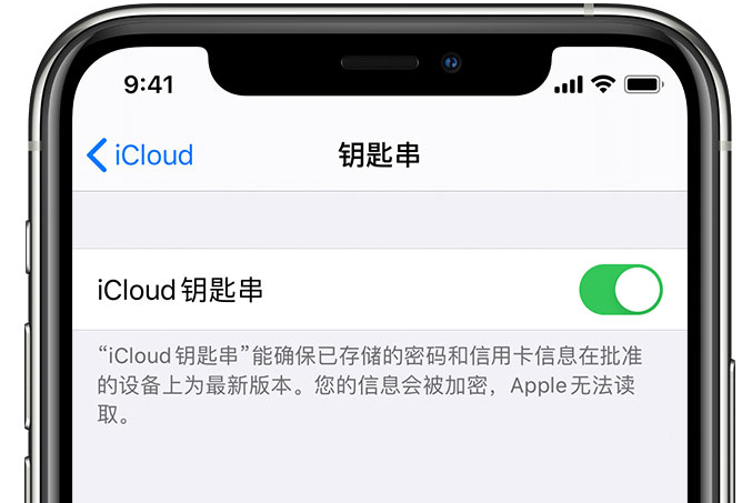 寻乌苹果手机维修分享在 iPhone 上开启 iCloud 钥匙串之后会储存哪些信息 